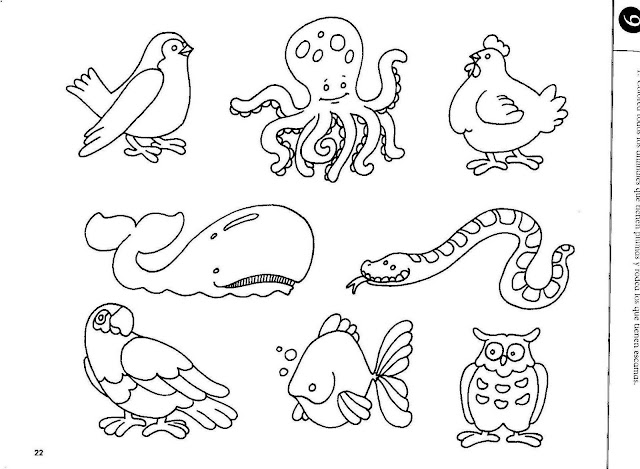 DIBUJOS ANIMALES DEL MAR PARA PINTAR